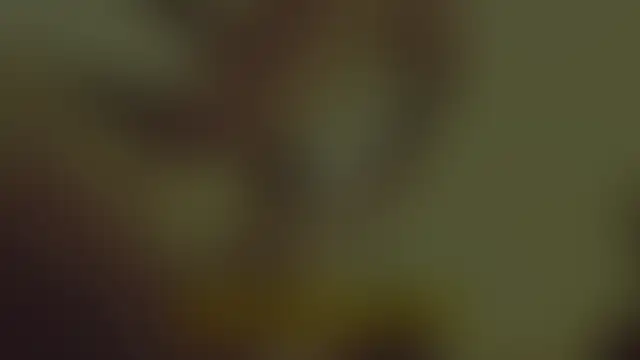 Аполлон Артемида - карта AnyDeck